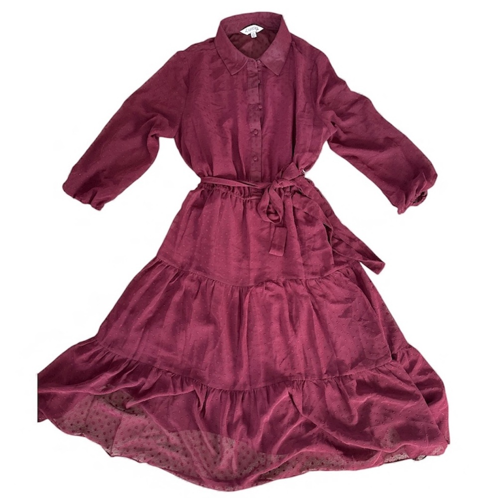 Elegant Burgundy Kids Dress